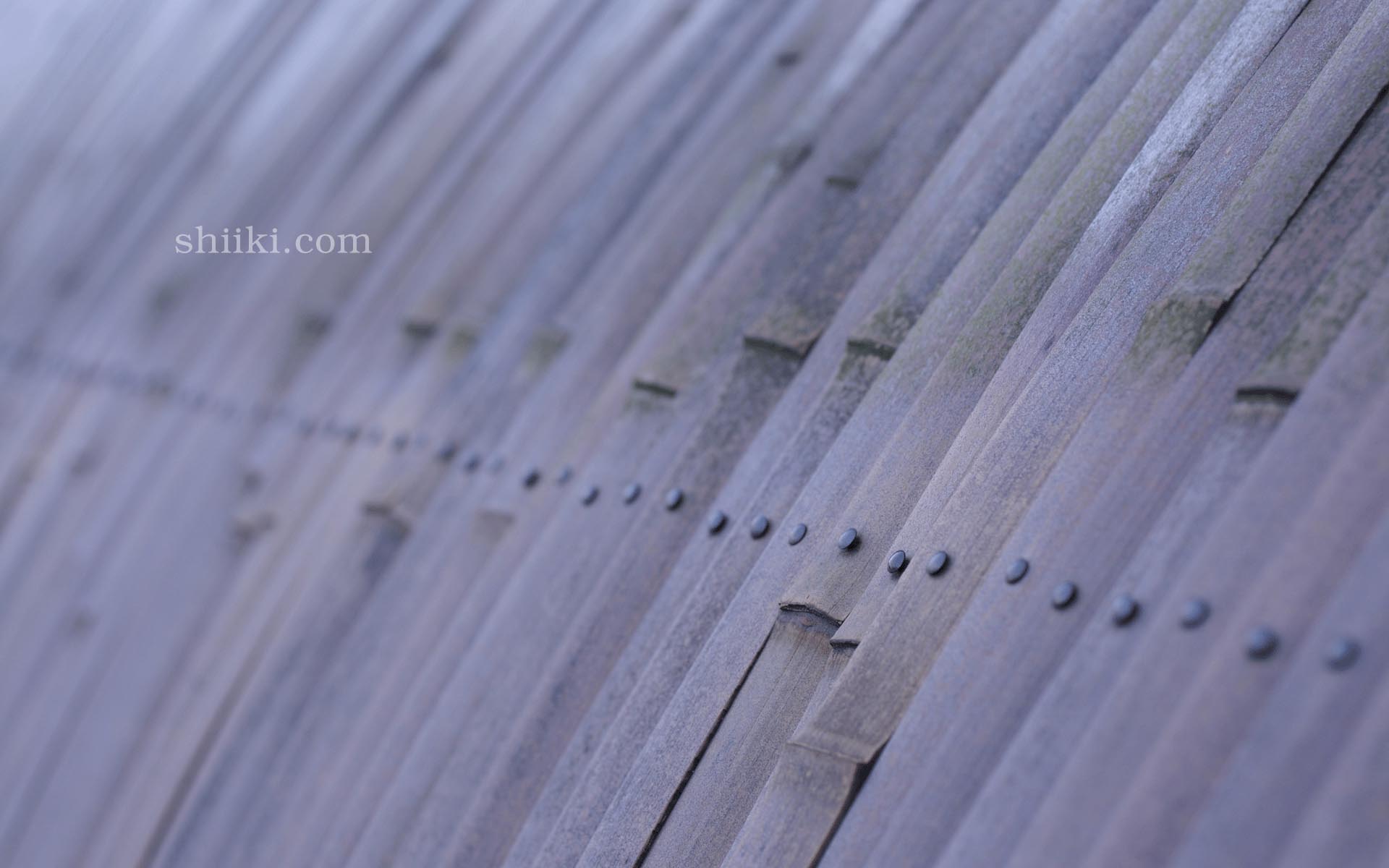 Cover image of shiiki.com